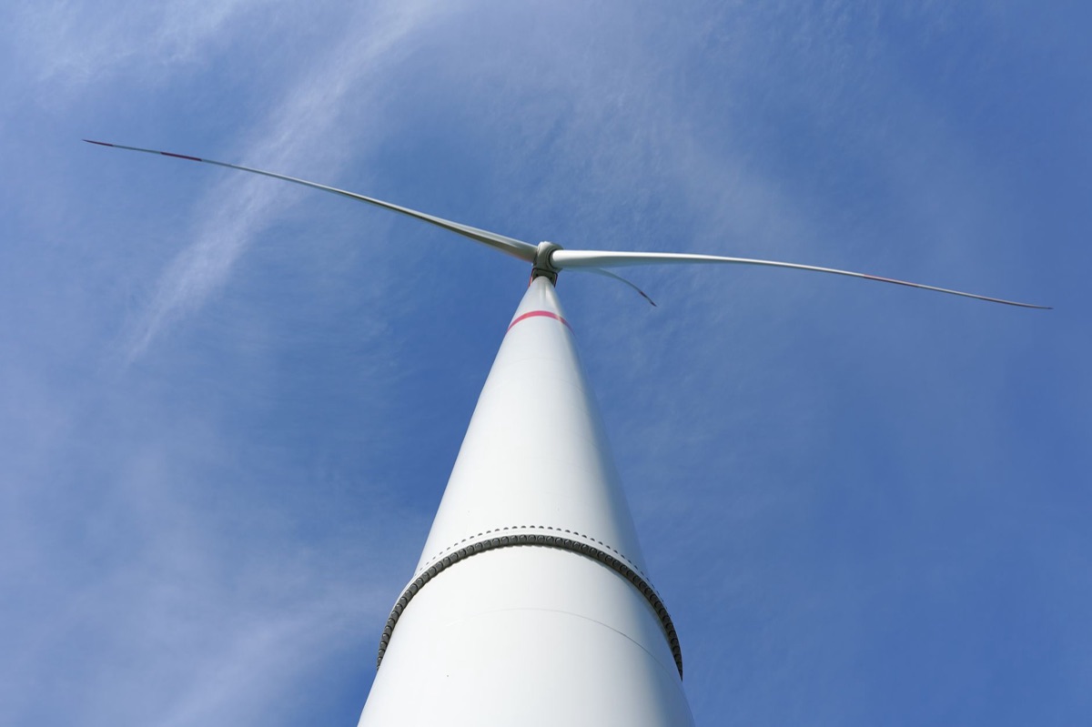 Pales d'éoliennes