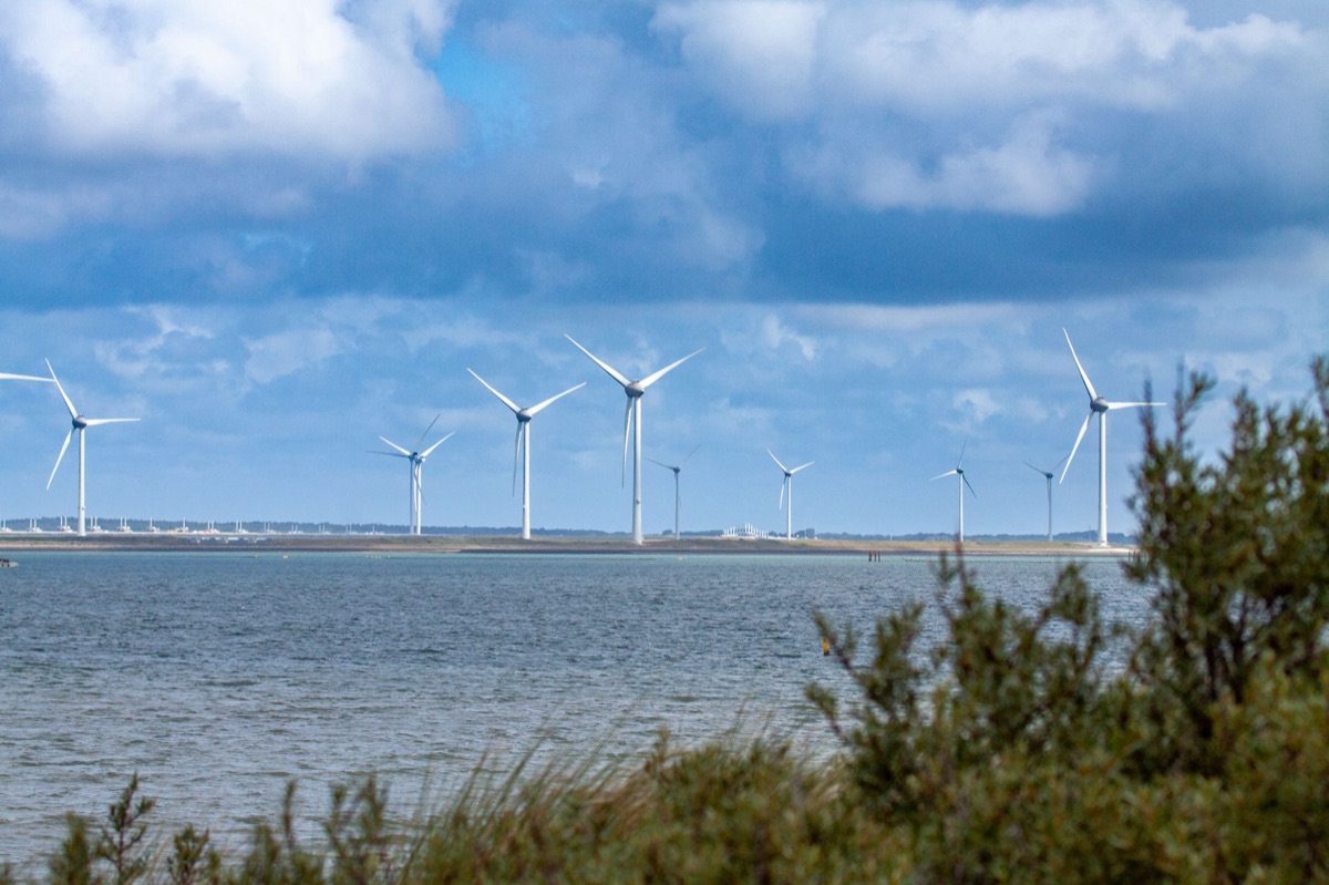 wind turbines in open field