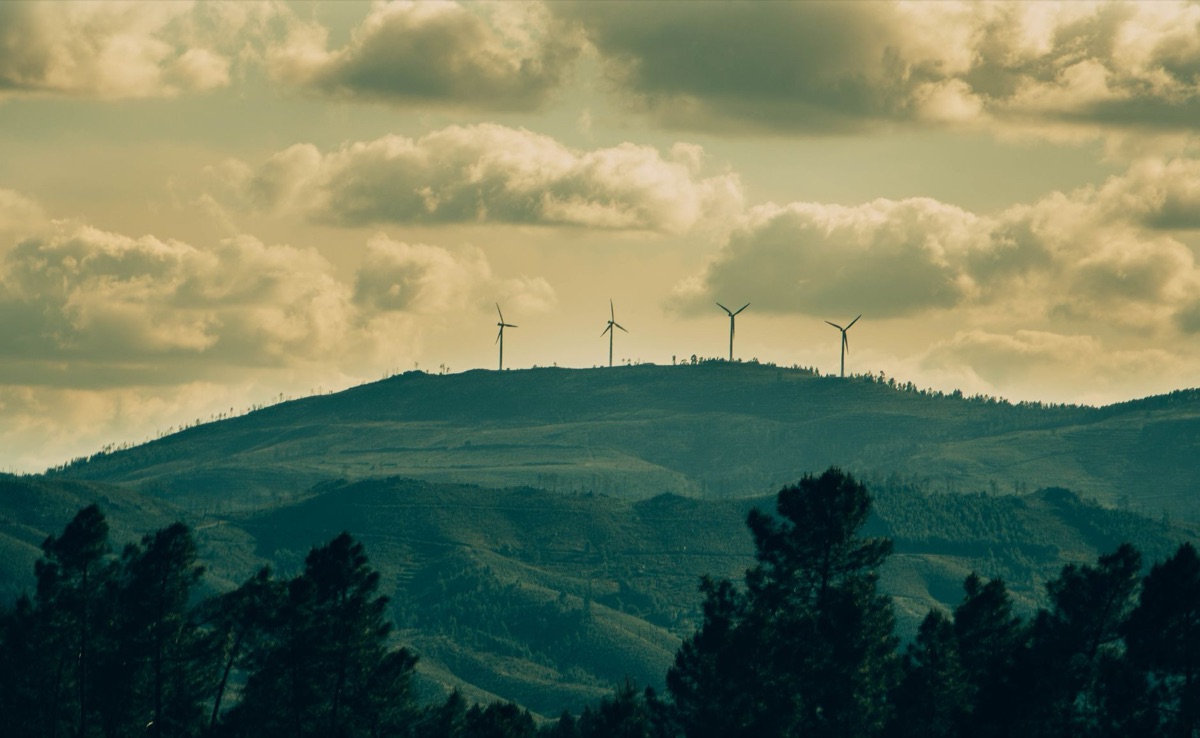 renewable energy experts in workshop