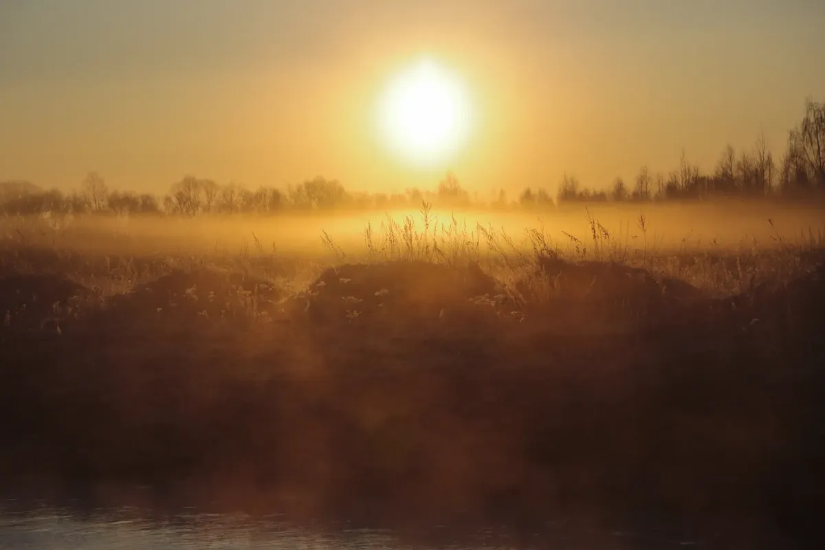 Rising morning sun shining over dry grass and rippling pond in mist in countryside