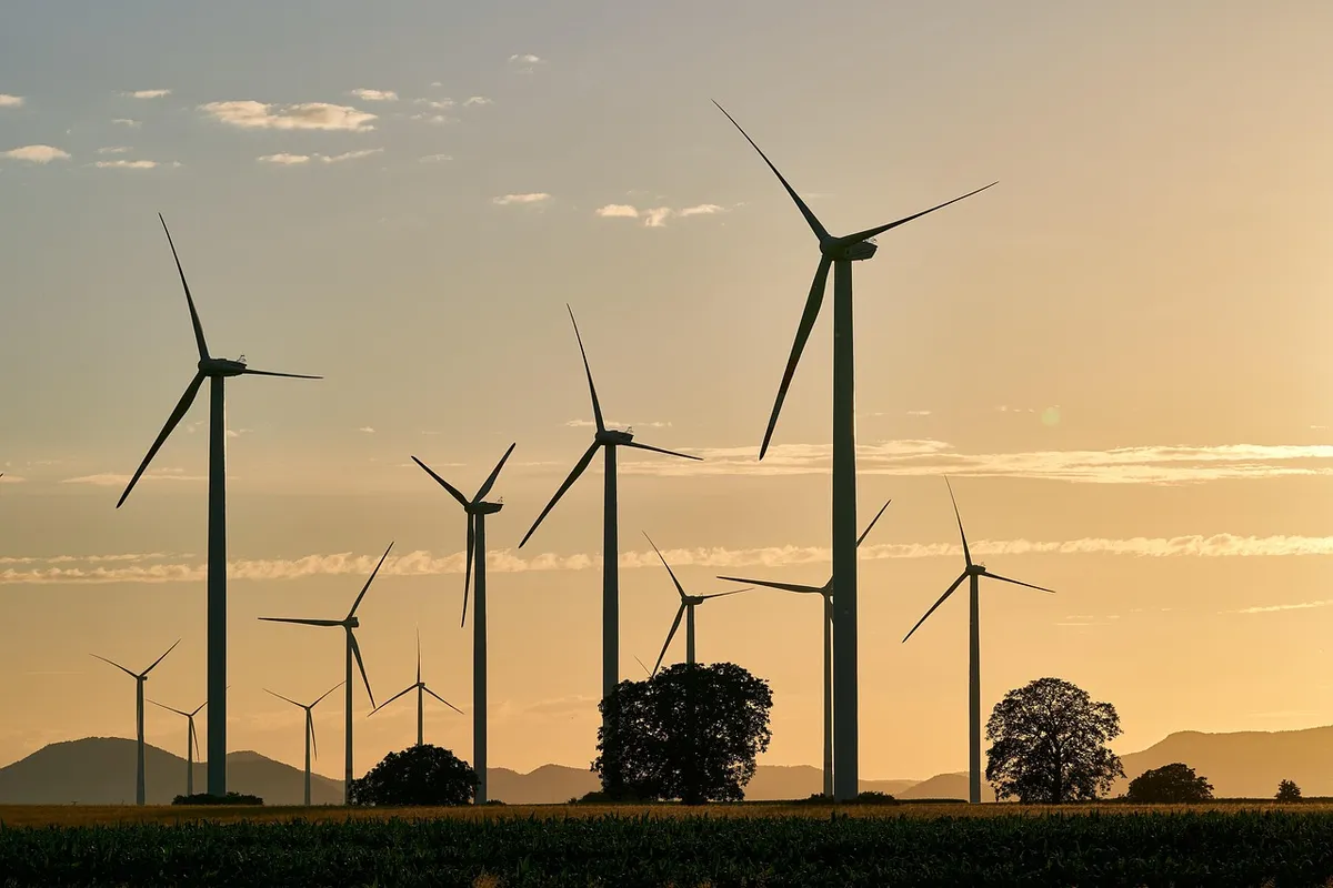 pinwheels, energy, electricity, nature, renewable, wind energy, sunset, wind farm, dusk, trees, landscape